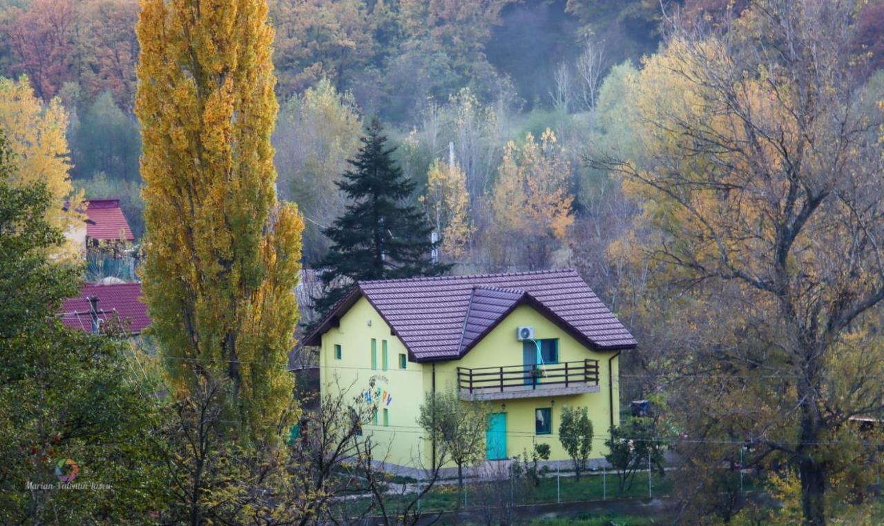 Pensiunea Happy Schitu Topolnitei Luaran gambar
